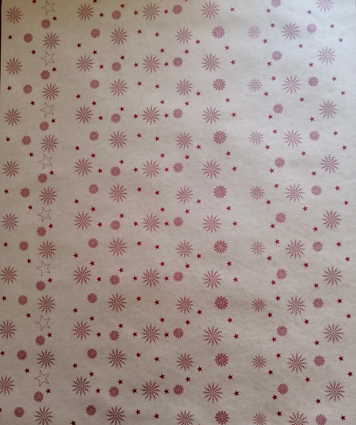 Pliego 50x70 cm Papel Impreso Ecologico (25 unidades)